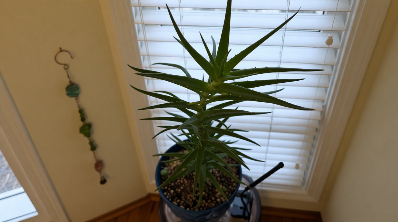 Signaux physiologiques d'un mauvais positionnement