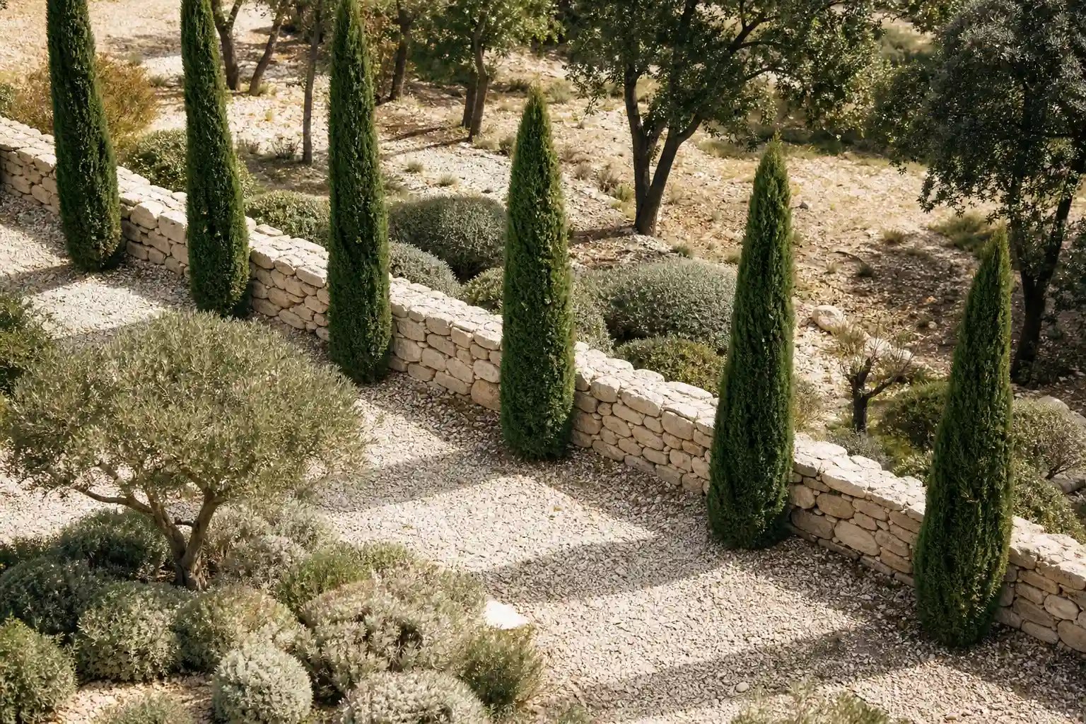 Où planter un cyprès de Provence selon le sol et l'exposition Emplacement idéal pour planter un cyprès de Provence en sol drainé
